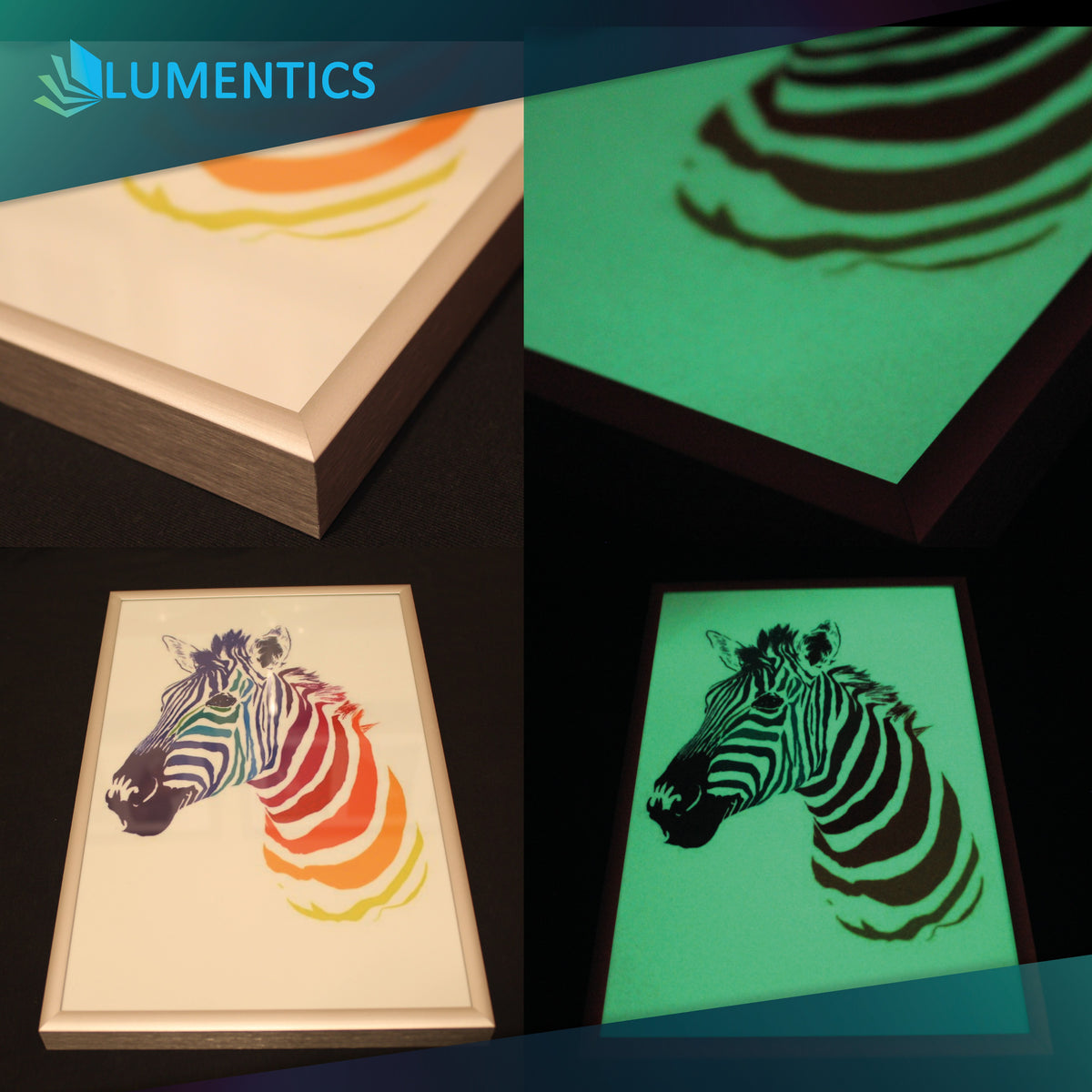 Glow paper for laser printers, printed with a colourful zebra in a frame, in light and glowing green in the dark