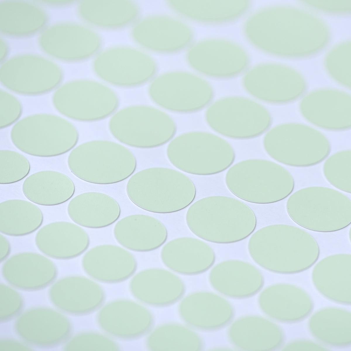 Glow dots in different sizes in close-up in daylight, pale green on a white sheet