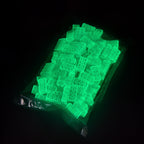 Building bricks 2x4 blue in the film bag, glowing green in the dark